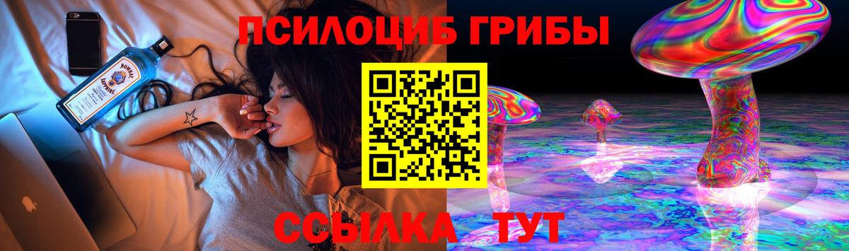 Псилоцибиновые грибы мухоморы Новокуйбышевск