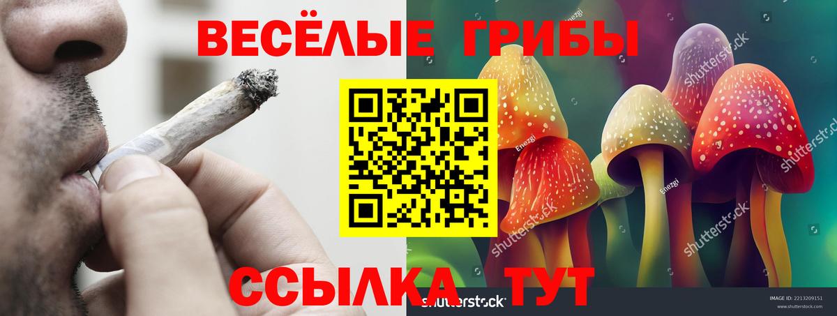Новокуйбышевск  Галлюциногенные грибы мухоморы  Вход с VPN 